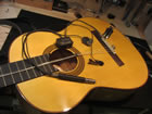 Carlos Acoustic Amplification